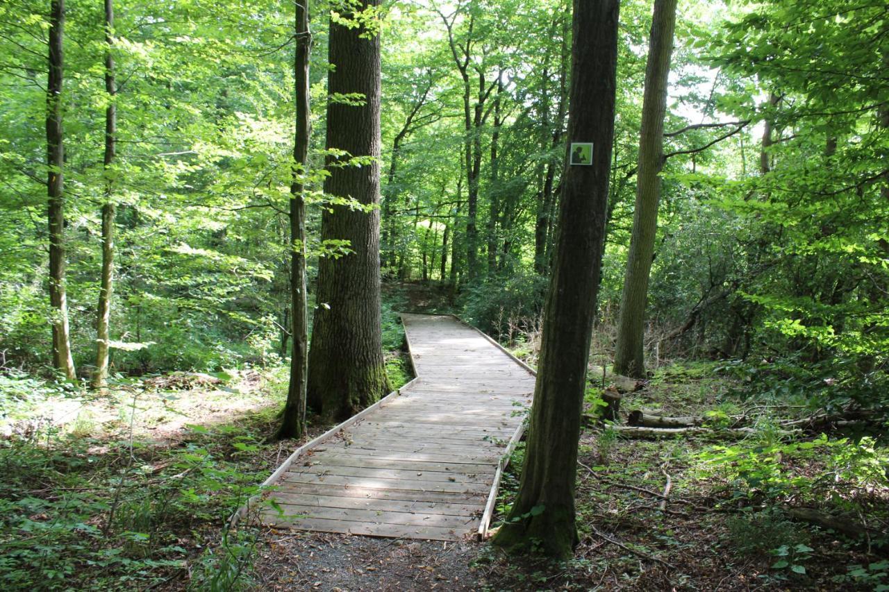 Ferienwohnung Forellenhof Oberschwarzach Kültér fotó