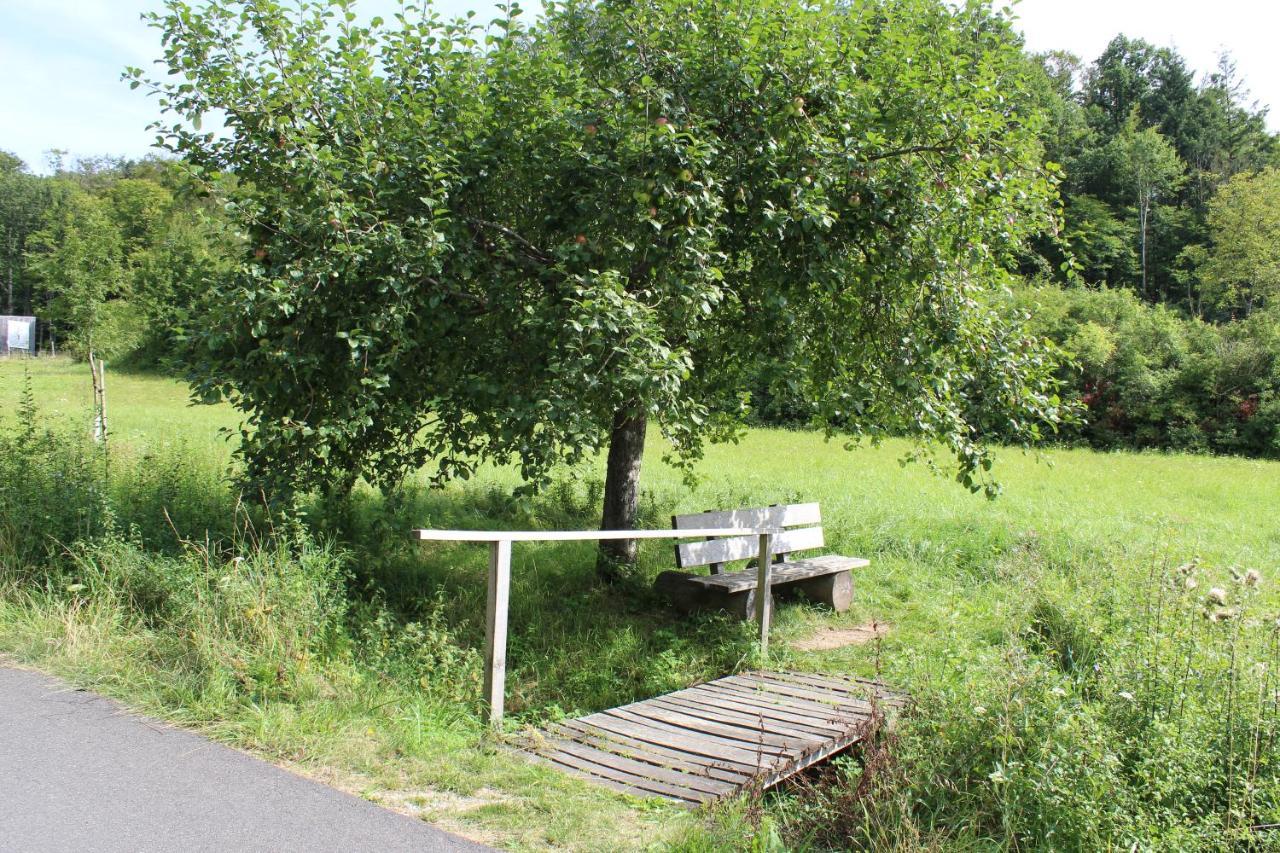 Ferienwohnung Forellenhof Oberschwarzach Kültér fotó