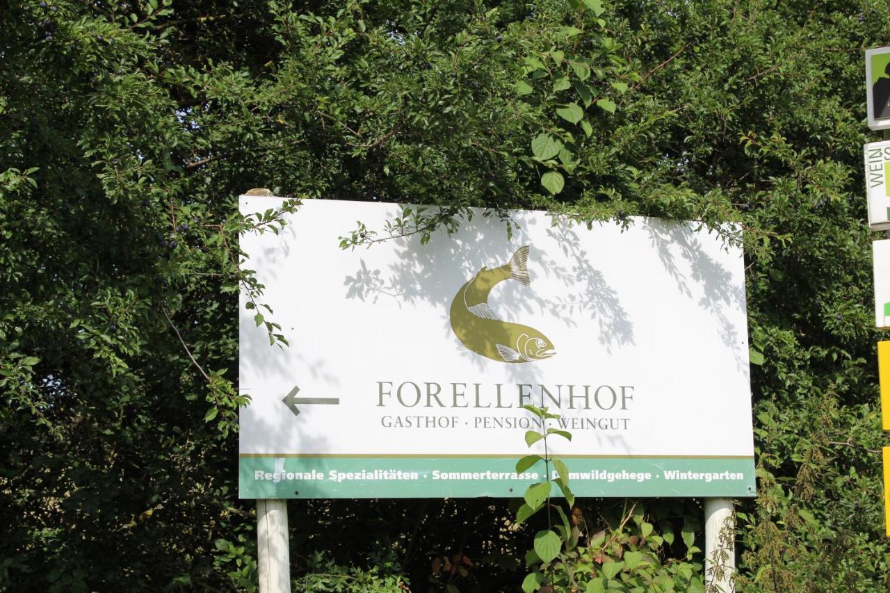Ferienwohnung Forellenhof Oberschwarzach Kültér fotó