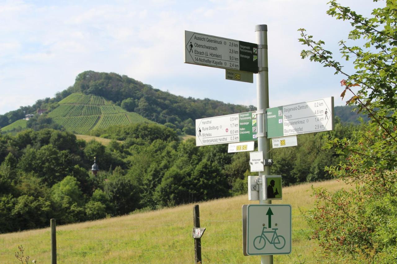 Ferienwohnung Forellenhof Oberschwarzach Kültér fotó